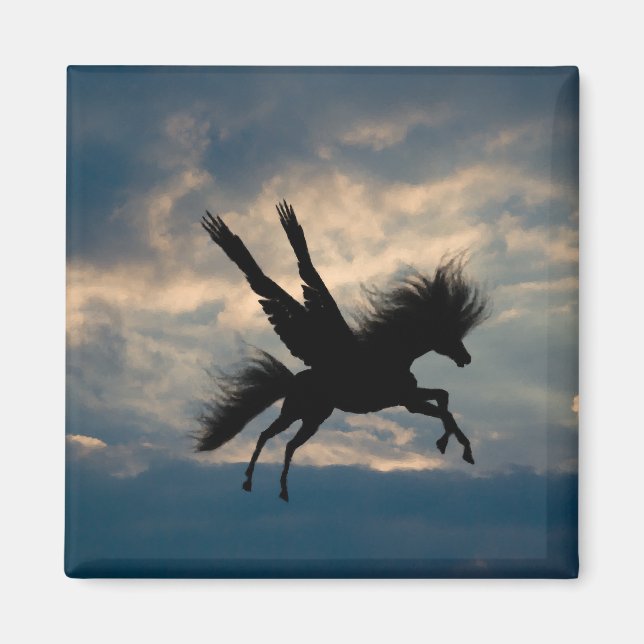 Imán de vuelo nocturno (Frente)