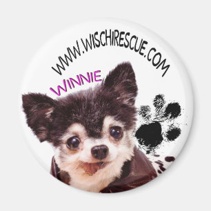 Imán de Winnie