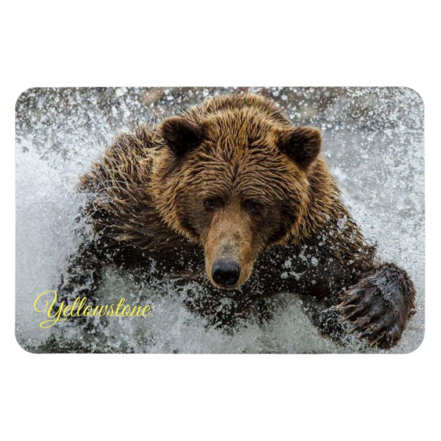 Imán de Yellowstone-Oso (Horizontal)