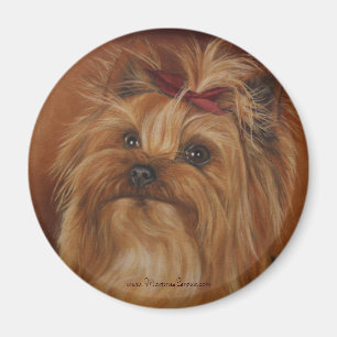 Imán de Yorkshire Terrier