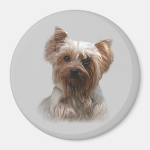 Imán de Yorkshire Terrier