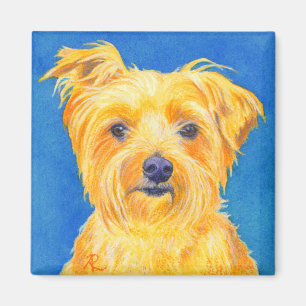 Imán de Yorkshire Terrier - "Sammy "