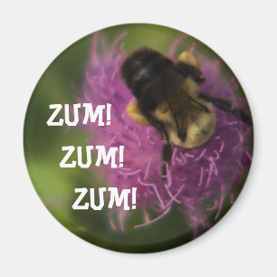 Imán de Zum Zum Zum
