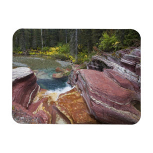 Imán Deadwood cae sobre Reynolds Creek en otoño en