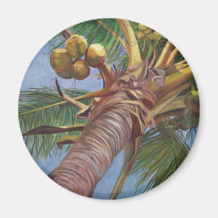 Imán Debajo del árbol de coco