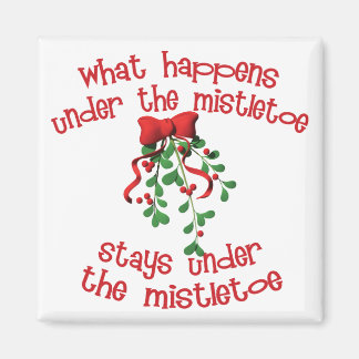 Imán Debajo del Mistletoe