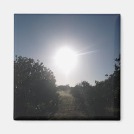 IMÁN DECORACIÓN DE ARTE Y DISEÑO DE MAGNET