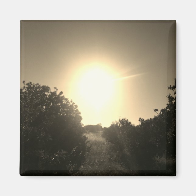 IMÁN DECORACIÓN DE ARTE Y DISEÑO DE MAGNET (Frente)