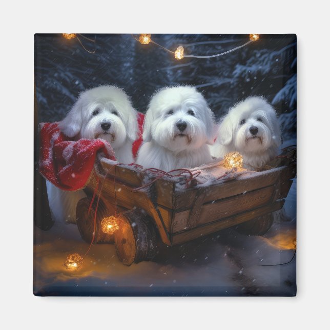 Imán Decoración de Navidades de Coton De Tulear Snowy S (Frente)