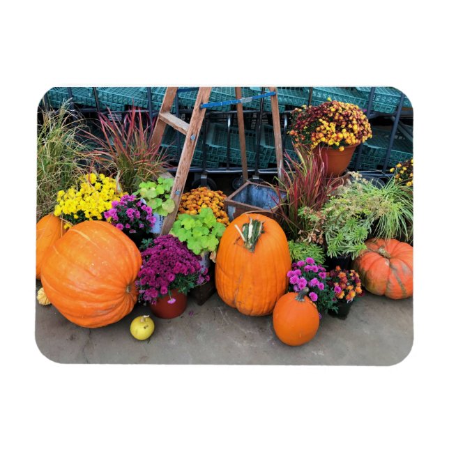 Imán Decoración de otoño (Horizontal)