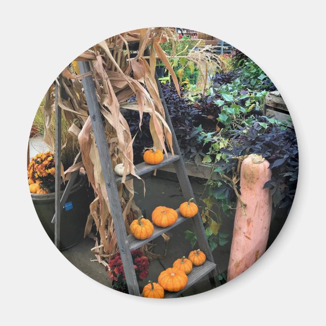 Imán Decoración de otoño (Frente)