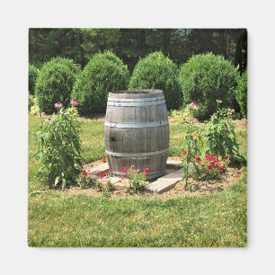 Imán Decoración del Jardín del Barril del Vino, Chateau