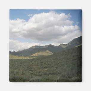 Imán decorativo del desierto del Skyline de Cowybo