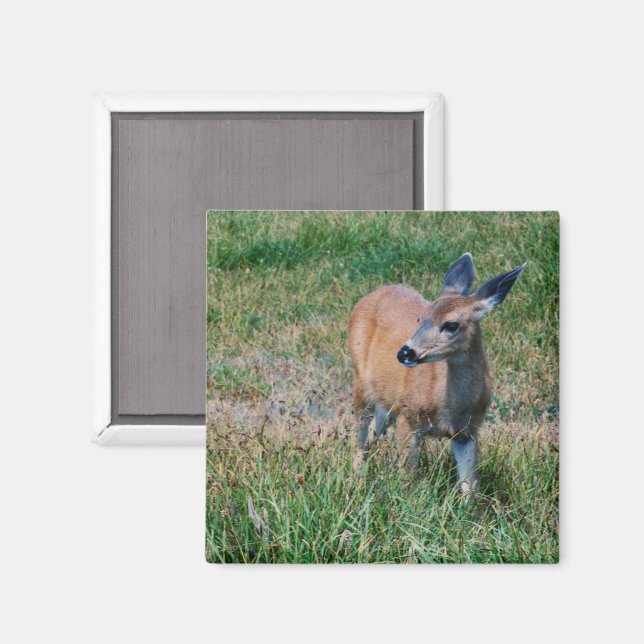 Imán Deer (Anverso/Reverso)