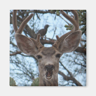 Imán Deer Magnet