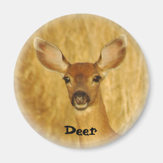 Imán Deer Magnet