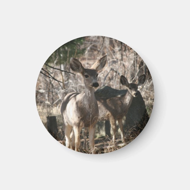 Imán Deer saludando (Frente)