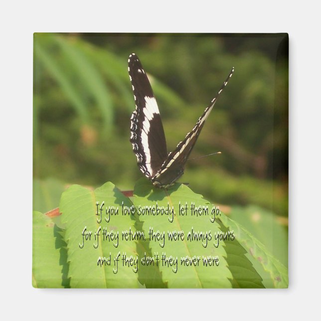 Imán Dejen que se vayan (Frente)