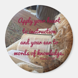 Imán del 23:12 de los proverbios