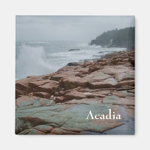 Imán del Acadia - 2