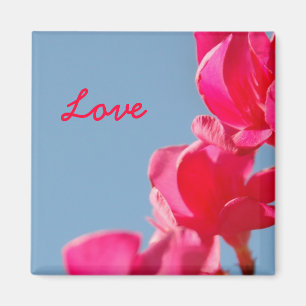 Imán del amor
