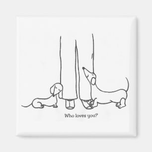 Imán del amor