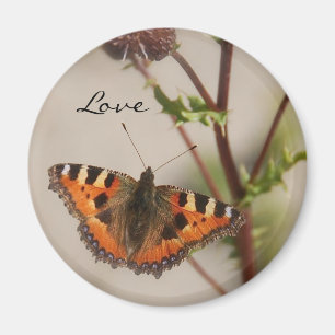 Imán del amor de la mariposa