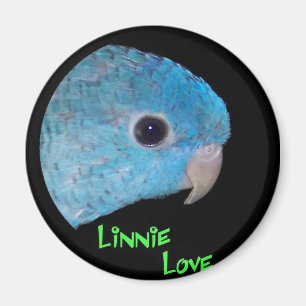 Imán del amor de Linnie