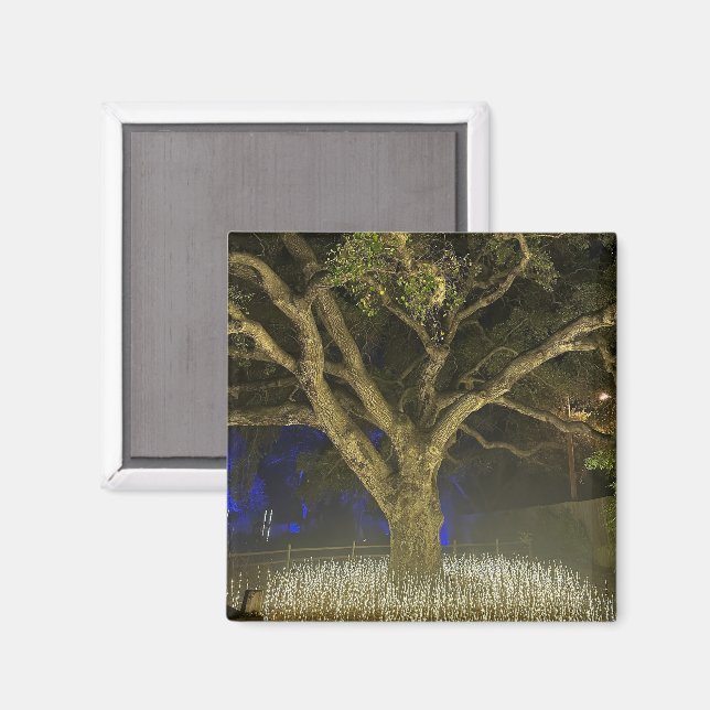 Imán del árbol de luces (Anverso/Reverso)
