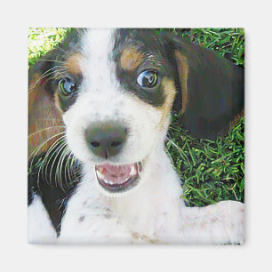 Imán del beagle