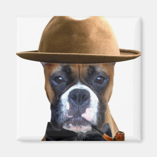 Imán del Boxer del Día del Padre Feliz