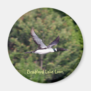 Imán del bribón del lago bradford