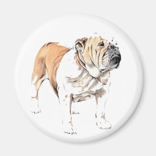 Imán del bulldog