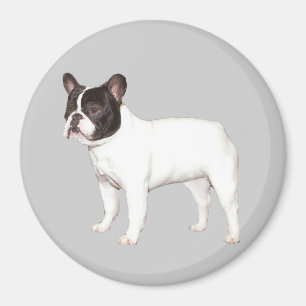 Imán del bulldog francés
