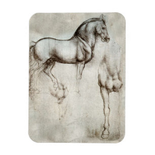 Imán del caballo de da Vinci