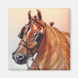 Imán del caballo de Saddlebred