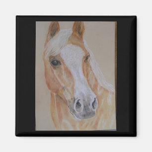 imán del caballo del palomino