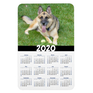 Imán del calendario del perro de pastor alemán