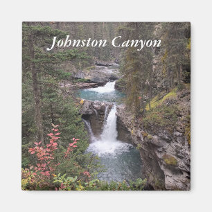 imán del cañón de Johnston