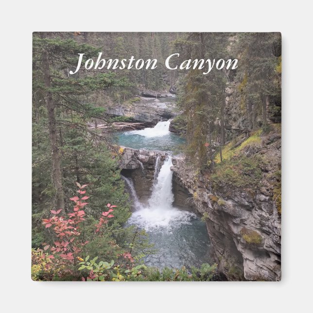 imán del cañón de Johnston (Frente)