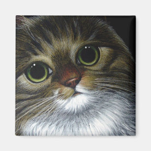 Imán del CAT de COON de MAINE