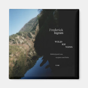 Imán del CD del desierto