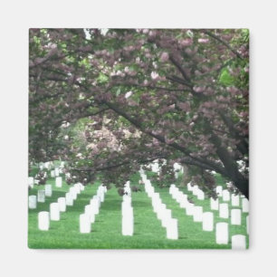 Imán del cementerio de Arlington