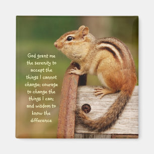 Imán del Chipmunk del rezo de la serenidad