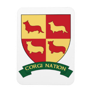 Imán del coche de la nación del Corgi