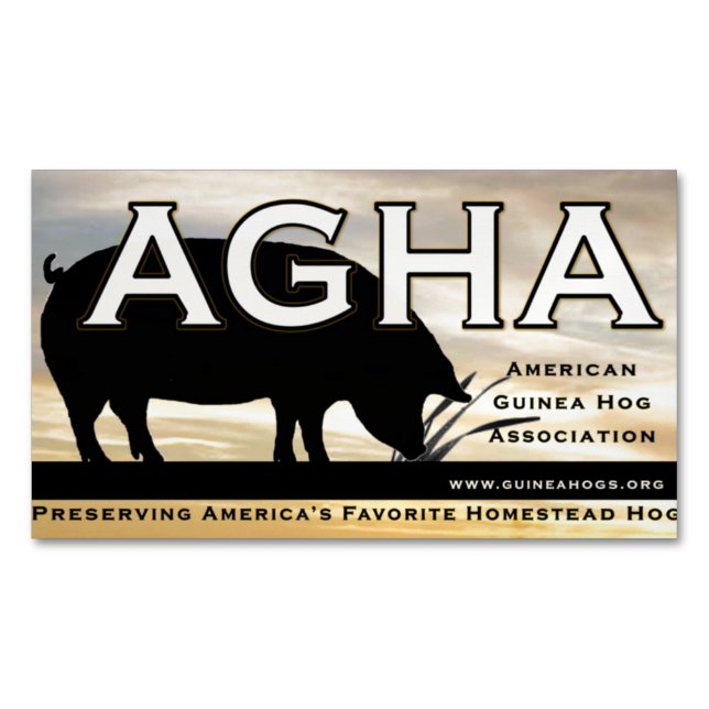 Imán del color de AGHA (Anverso)