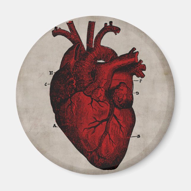 Imán del corazón humano (Frente)