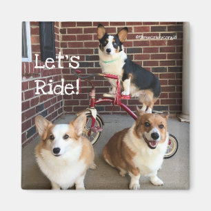 Imán del Corgi