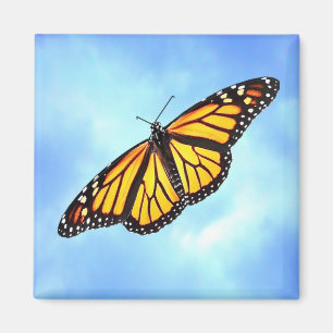 Imán del cuadrado de la mariposa de monarca