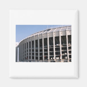 Imán del cuadrado del estadio del veterinario